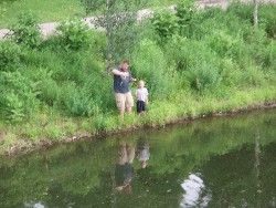 z-P6184332.jpg (157232 bytes)